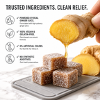 Premium Ginger Gummies travel-friendly wellness chews packaging
